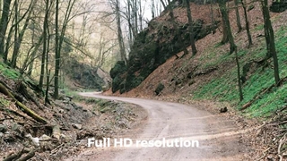 دانلود پروژه آماده پریمیر پرو اسلایدشو پویا Dynamic Slideshow