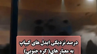 درصد نزدیکی ایدل ها به ویژوال کره جنوبی(کپ)