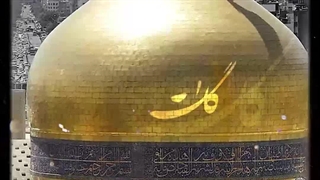 اعتماد کن و دلتو بسپر به امام رضاجان