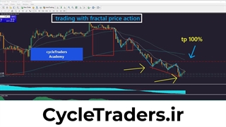لایو ترید حرفه ای با پرایس اکشن فراکتالی