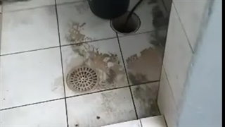 لوله بازکنی منطقه 22تهران فوری شبانه روزی 09191404900☎️