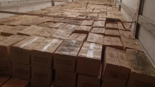 تولید زغال صادراتی 09125931997