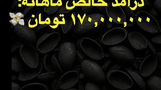 درامد ماهیانه170میلیون 09125931997