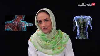 غدد لنفاوی در بدن چه می کنند