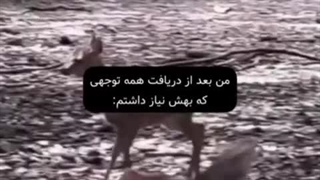 هپی هپی هپی