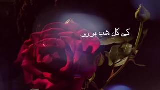 نماهنگ فوق العاده از ترانه #گل گلدون من #سیمین غانم
