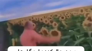 نام نام،خوبین؟