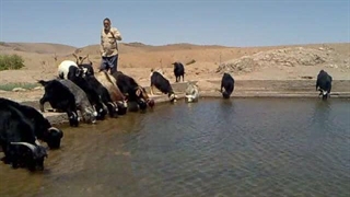 کلاته حسن بیک تابستان۱۳۹۰