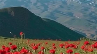 آهنگ ایران با صدای آرون افشار