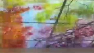 شهر کاغذ دیواری اشکو در فومن