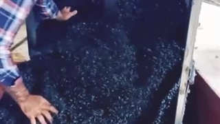 راه اندازی کوره کربناسیون پوست پسته 09125931997