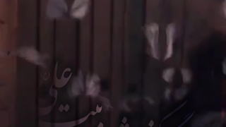 استوری (شاپرکا)