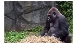 چرا من بچه‌دار شدم اصلا؟