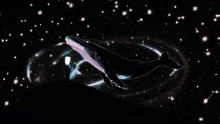 ویدیو TICKET TO THE SKY از THE ROSE