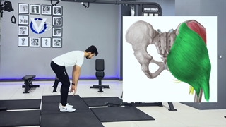 راهکار علمی سفت کردن باسن به زبان ساده!