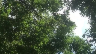 ۰’٬…٬’• کپ