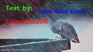 گنجشگک اشی مشی - shahab nazer fassihi