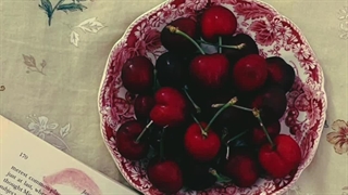 وایب اعضای بلک پینک