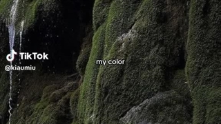 My color FOREVER °▪︎°