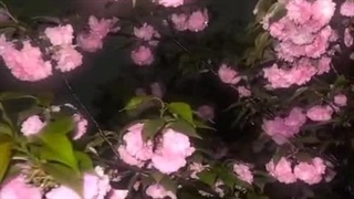 ᴊᴜꜱᴛ ᴛʀᴜꜱᴛ ᴍᴇ , ʏᴏᴜ'ʟʟ ʙᴇ ꜰɪɴᴇ