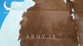 فرشپوست قهوه ای سفید