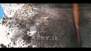 فرشپوست جذاب برای دکوراسیون منزل