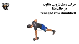 آموزش حرکت دمبل پارویی در حالت شنا (Renegade Row)