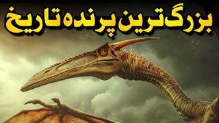 این غول پرنده دایناسورها رو شکار میکرد!