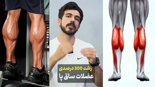 رشد 300 درصدی ساق پا با این حرکت (کسی باورش نمیشد!)