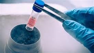 هشدار؛ پیامدهای خطرناک «سلول درمانی» غیرمجاز