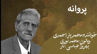 آهنگ پروانه لری