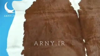 پوست سفید قهوه ای