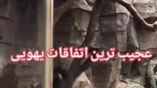 عجیب ترین اتفاقات یهویی !!