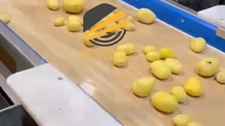 نوار نقاله | کاربرد نوار نقاله 09146417839