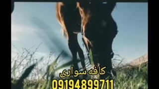 باشگاه سوارکاری ساواش در شهریار