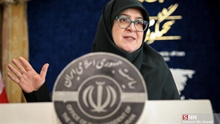 ویدیو/ سخنگوی دولت: سیاست دولت برای توقف مهاجرت به تهران