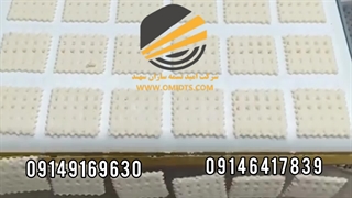 نوار نقاله | کاربرد نوار نقاله در کارخانه‌های بیسکویت‌سازی 09149169630