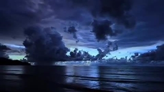 یه کوچولو صبر کن... نوبت منم میرسه دیگه...