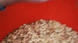 پسته شکن صنعتی