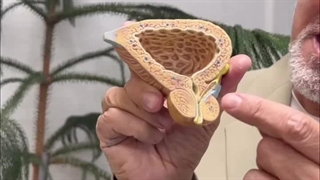 اگر داروی پروستات می‌خورید؟ این نکات حیاتی رو حتما بدونید