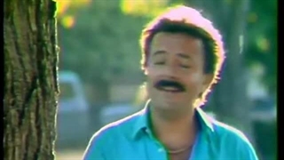 Shahrokh - Asheghaneh  شاهرخ ـ عاشقانه