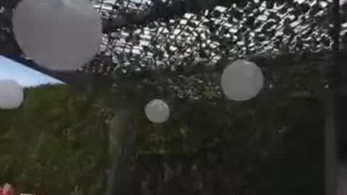 شیراز چمن (گویم)