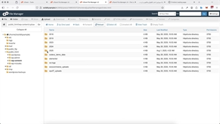 پاکسازی سایت وردپرس از ویروس و کدهای مخرب