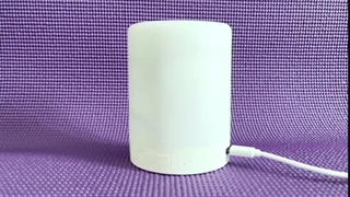 دستیار هوشمند صوتی آفلاین  وکالی