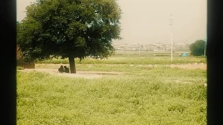 حرفای میا>>>>>>