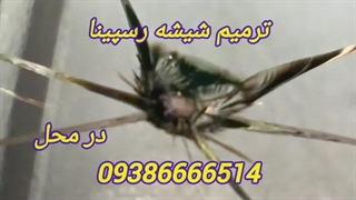 ترمیم شیشه ماشین 09386666514