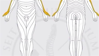 منشا درد کمرت رو پیدا کن