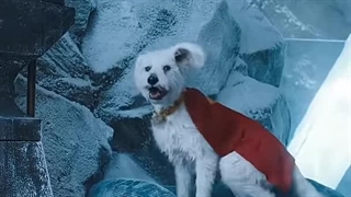 Drunk Supergirl Picking Up krypto ~ Superman 2025 #supergirl