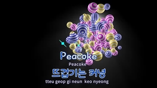 لیریک بیکلام آهنگ dlrlwama by iu (کاراکوئه)