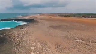 کافه د آناتولیا تکنو - دی‌جی میکس ۲۰۲۵